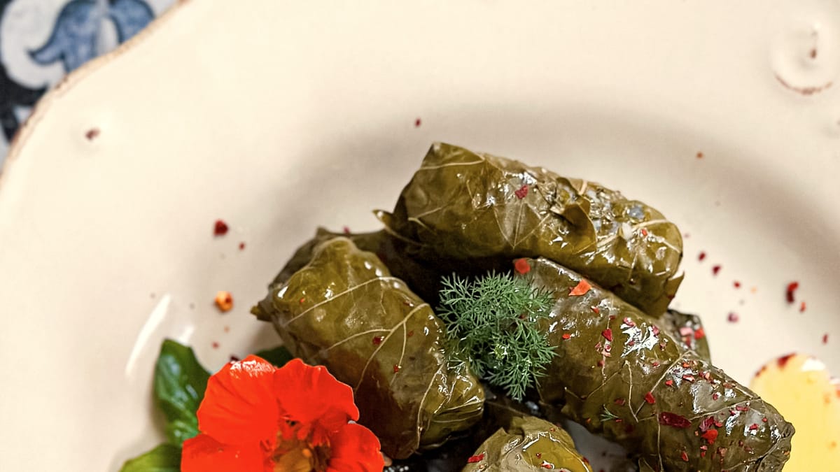 Japrak, gefüllte Weinblätter, serviert auf cremigem Joghurt mit Dill und Chiliflocken
