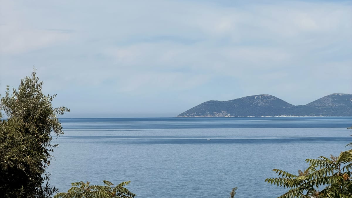 Blick über die ruhige Bucht von Vlora auf die Halbinsel Karaburun, gerahmt von Olivenbäumen